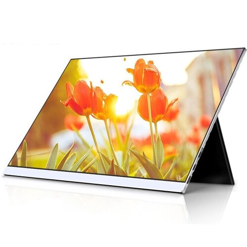 Портативный монитор ASM-1562FC QLED 156 1920х1080 IPS 1714000₽