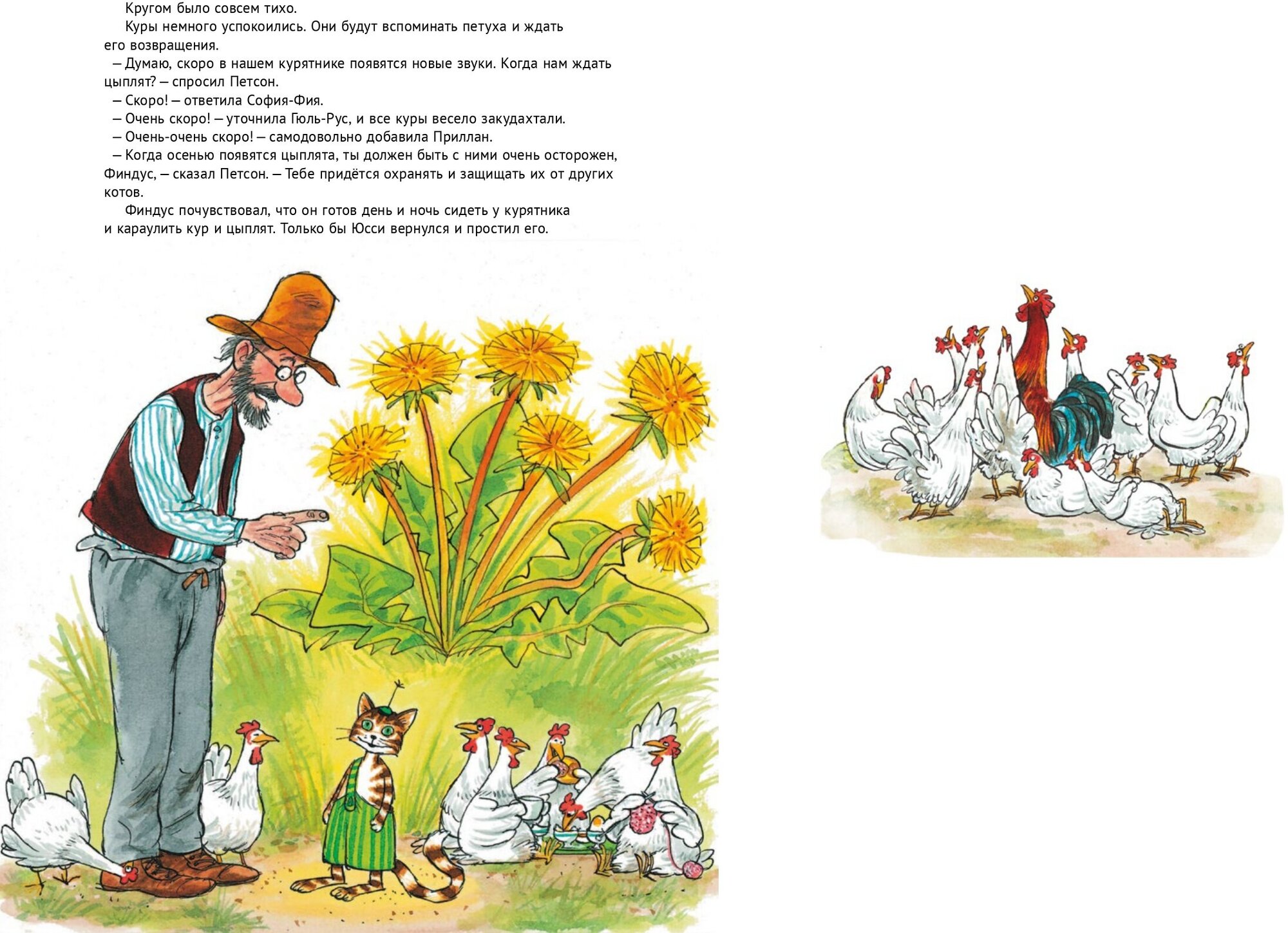 Чужак в огороде (Нурдквист Свен) - фото №6