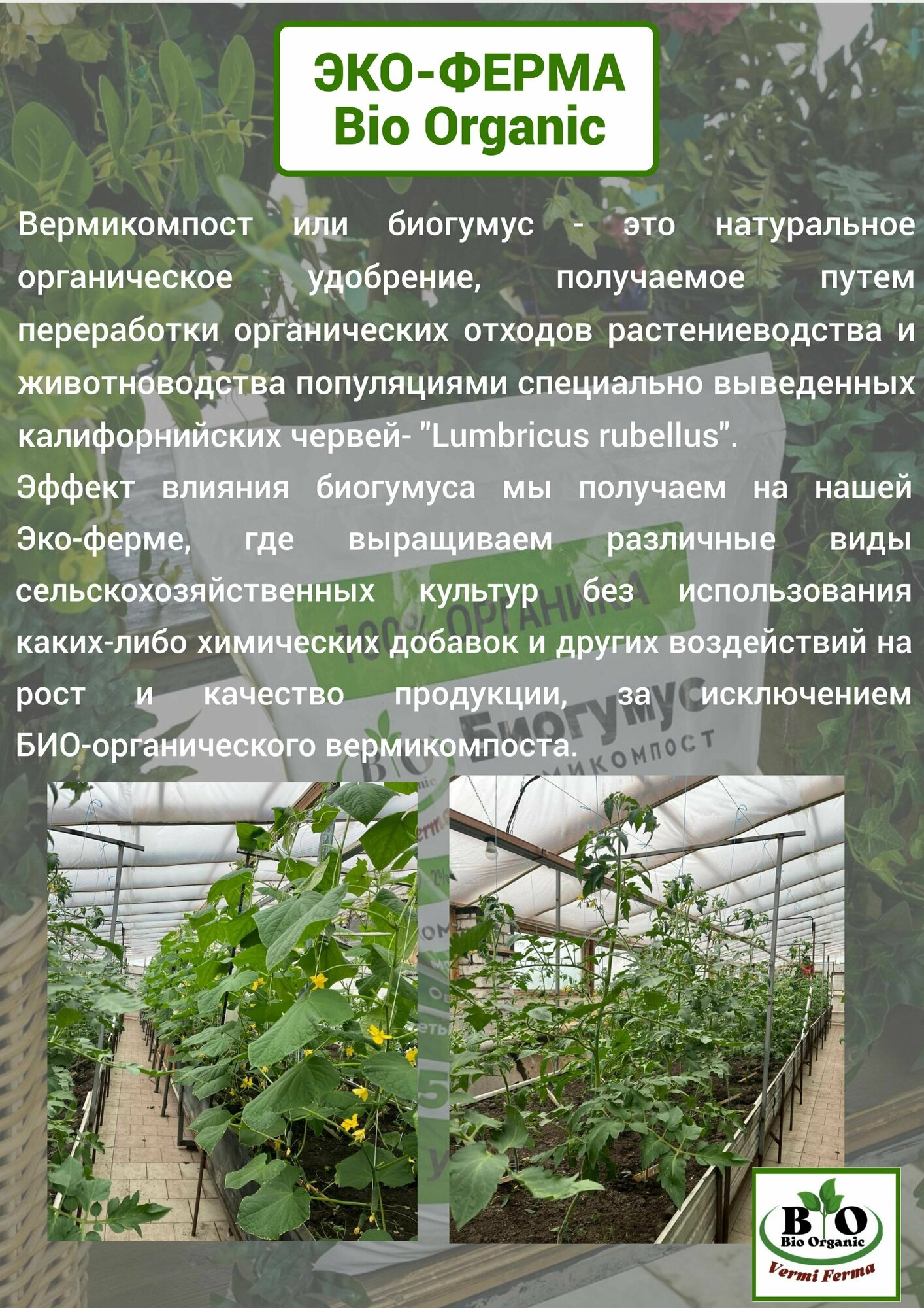 Жидкий Биогумус Bio Organic Концентрат 0,45 л - фотография № 10