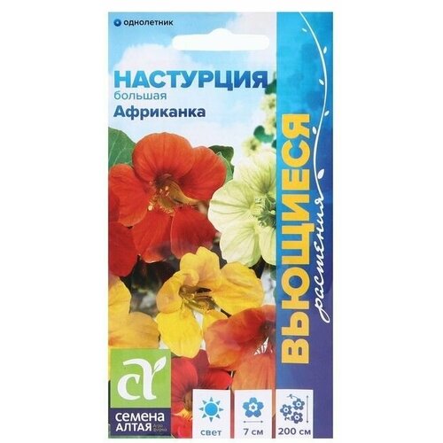 Семена цветов Настурция Африканка, большая 1 г 8 упаковок семена цветов настурция большая красный блик 1 г 6 упаковок