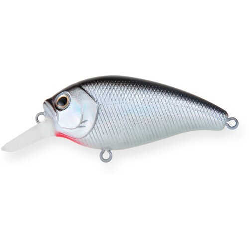 фото Воблер крэнк strike pro crankee diver 60, цвет: a010-ep black back silver, (jl-038f#a010-ep)