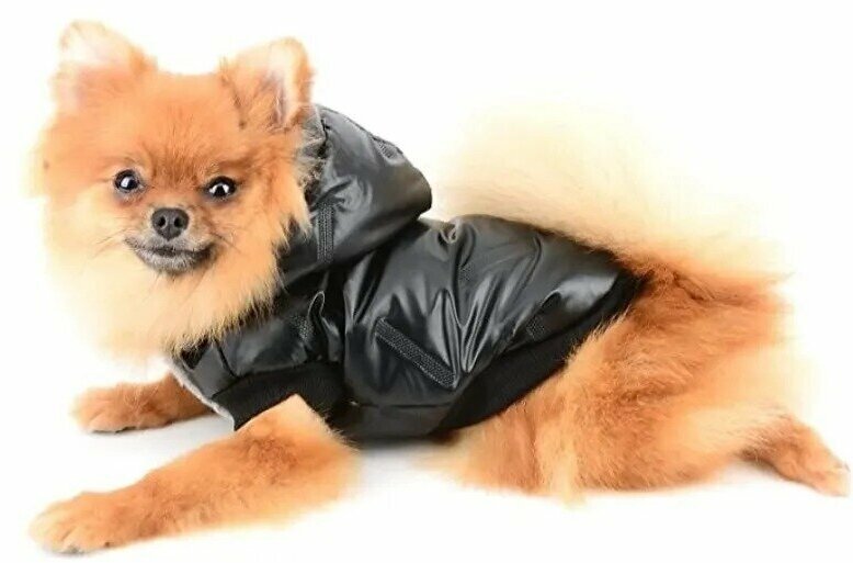 Куртка для собак мелких пород Arnydog Гланцевое лого черная M(25 см) - фотография № 2