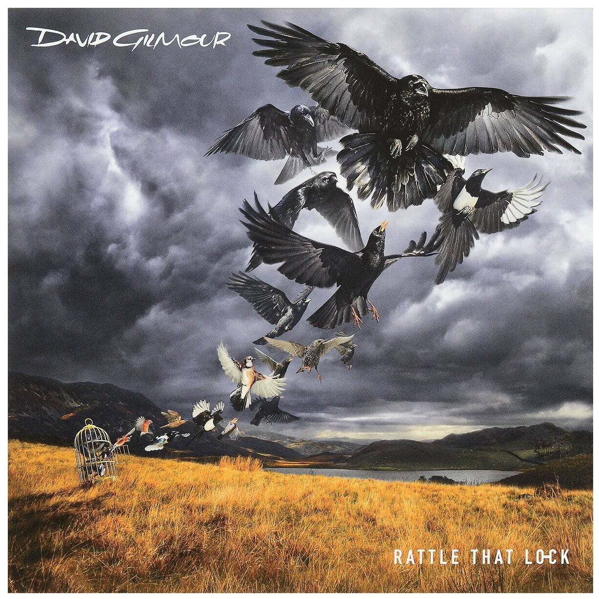 Виниловая пластинка Warner Music David Gilmour - Rattle That Lock