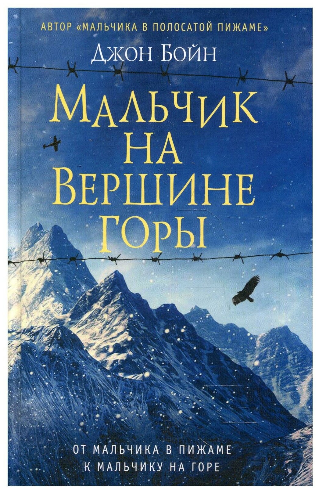 Мальчик на вершине горы Книга Бойн Джон 12+