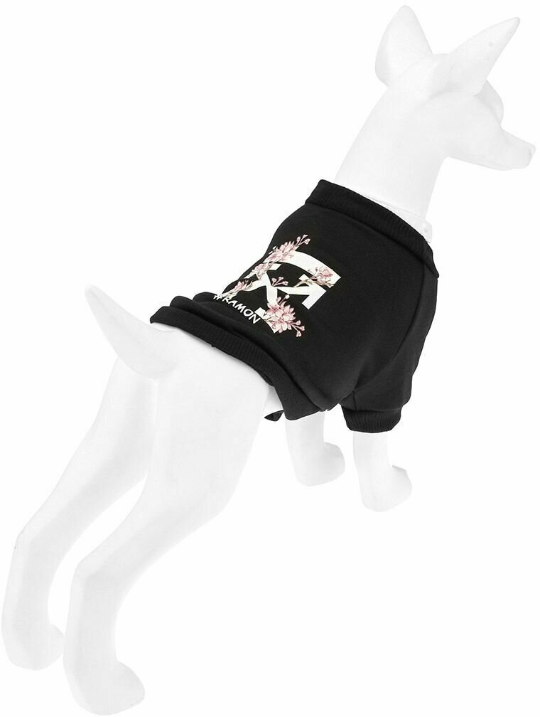 "Пэт тойс (Pet toys)" Одежда для собаки "Толстовка" "#Ramon" с принтом, р-р M, длина спинки 26см/обхват груди 36см/обхват шеи 24см, цвет-черный, полиэстер/флис (Китай) - фотография № 3