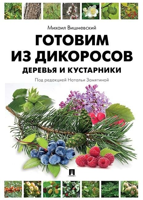 Готовим из дикоросов. Деревья и кустарники - фото №2