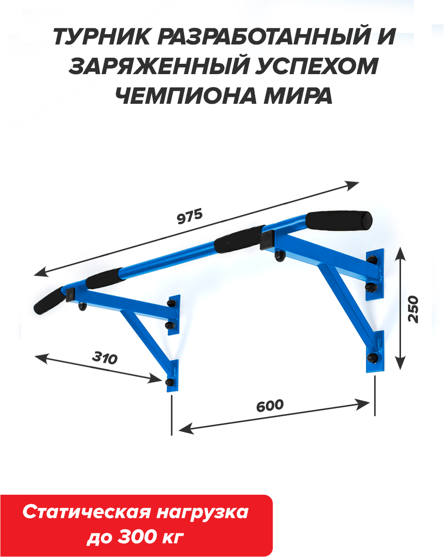 Турник настенный Aktiv синий разборный Aktiv/Absolute Champion