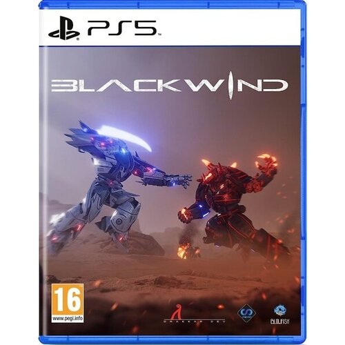 Игра Blackwind для PlayStation 5