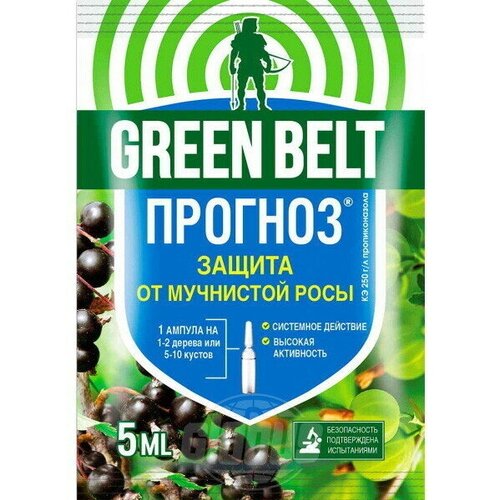 Средство от болезней растений «Прогноз» 5мл (пакет) средство от болезней прогноз 10мл тэ