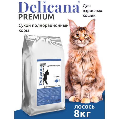 Корм сухой для Кошек Лосось с витаминами, минералами и микроэлементами.