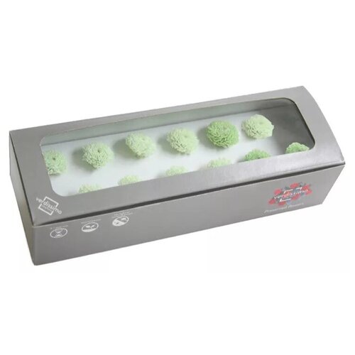 Хризантема 