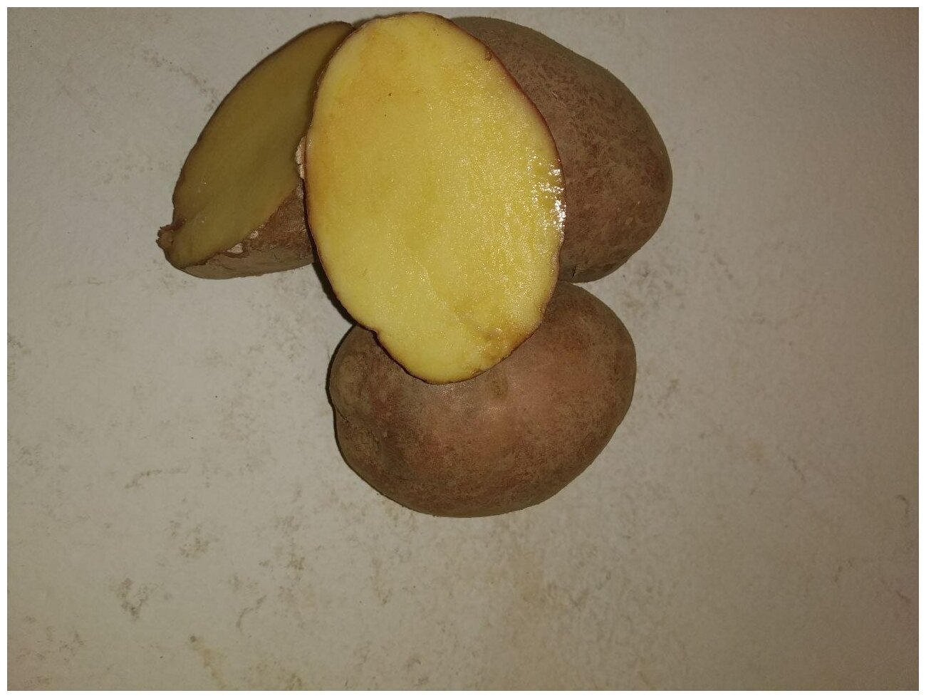 Картофель семенной лапоть клубни 1 кг - фотография № 4