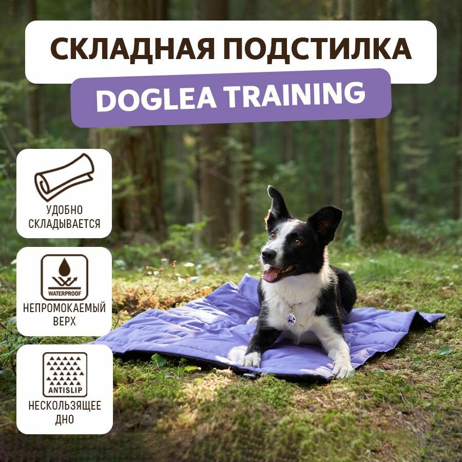 Складная подстилка DOGLEA TRAINING Фиолетовый 120*80