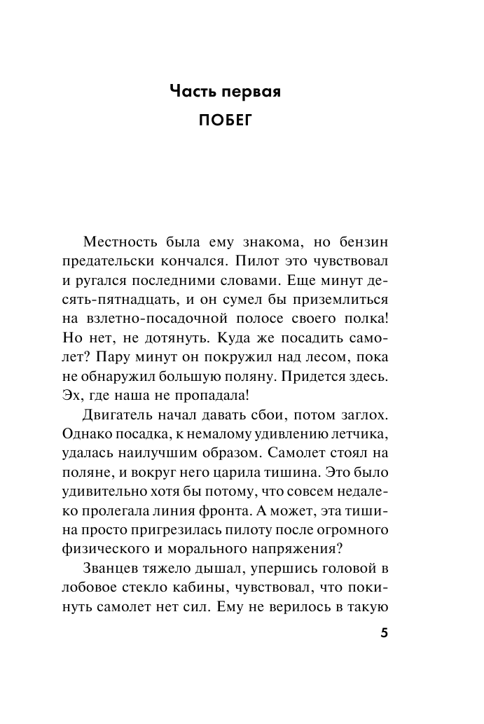 Небесные мстители (Каржавин Владимир Васильевич) - фото №8