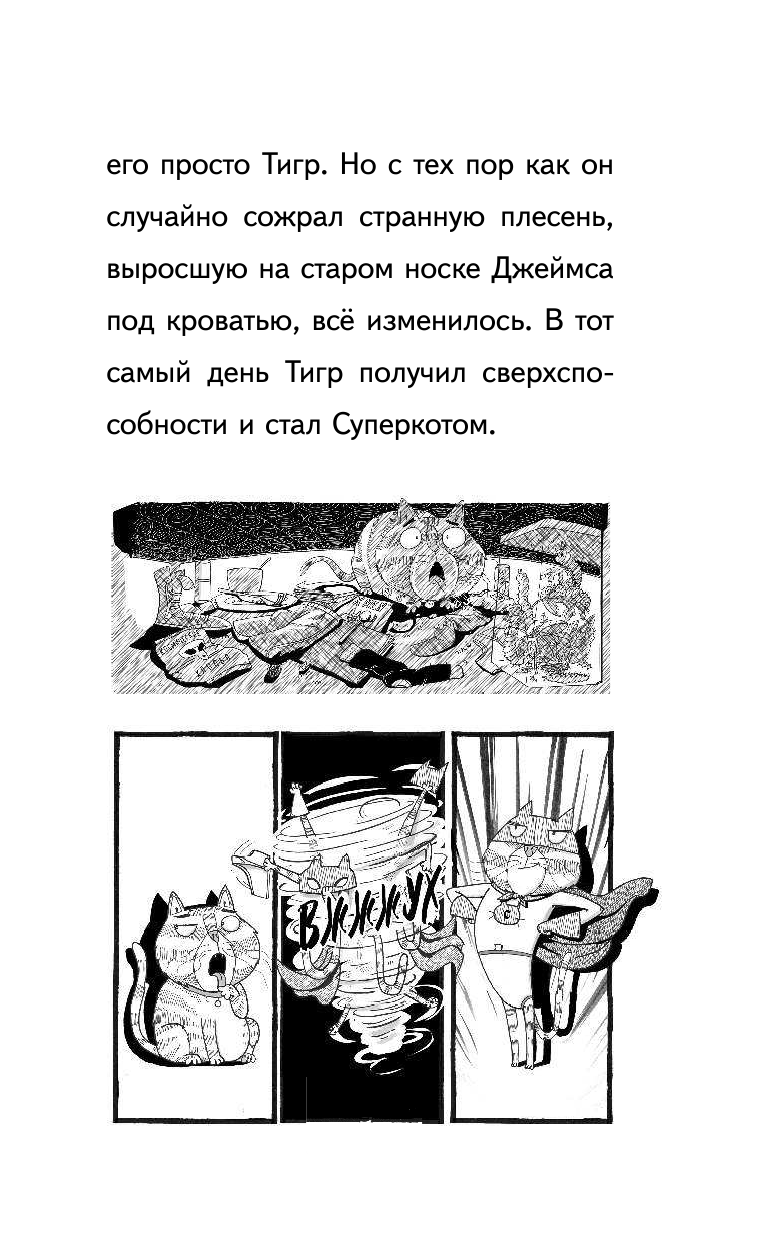 Суперкот и Фальшивый король (Жанна Уиллис) - фото №12