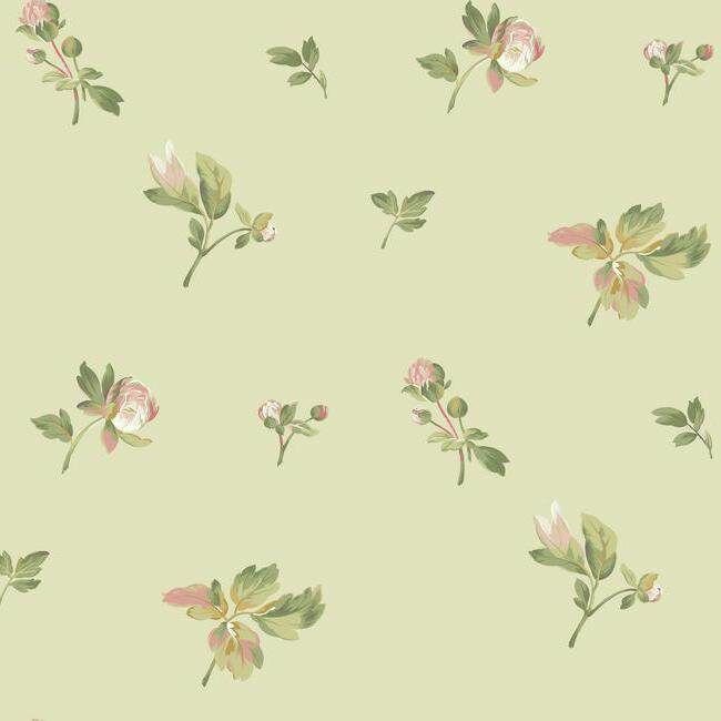 Обои York Marquis PR9110