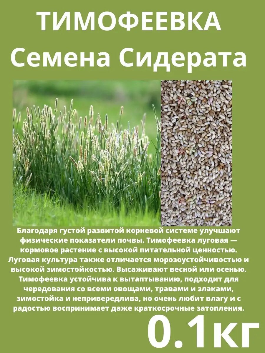 Семена Тимофеевка луговая 100 грамм
