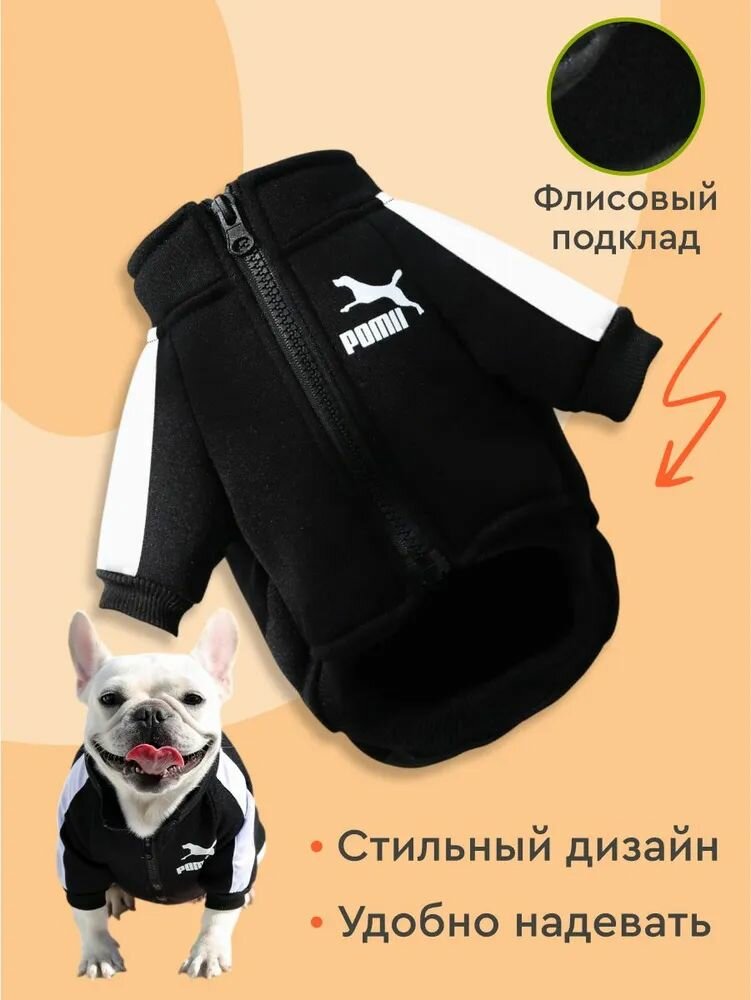 Одежда для животных — фото 1