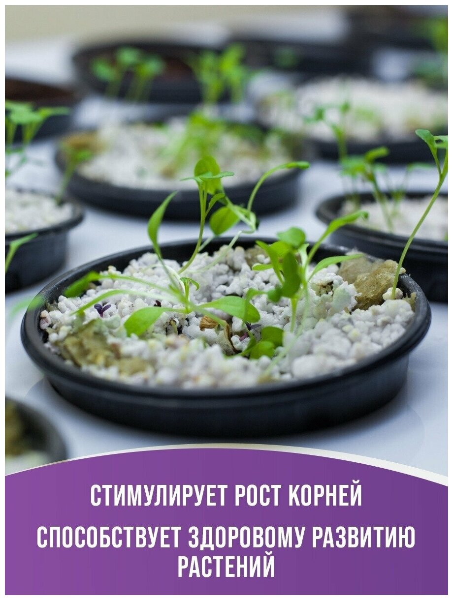 Агроперлит для растений, 3 л, Зеленстрой - фотография № 4
