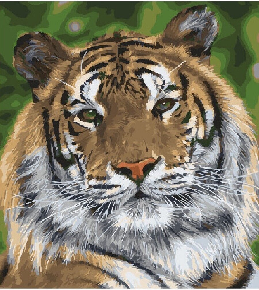 Картина по номерам Гордый взгляд тигра 40х50 см Hobby Home