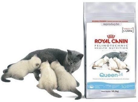 Royal Canin корм для кошек всех пород в период лактации 10 кг - фотография № 5