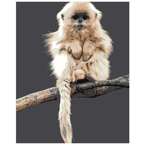 картина по номерам обезьянка 30x40 см Картина по номерам Китайская обезьянка, 40x50 см