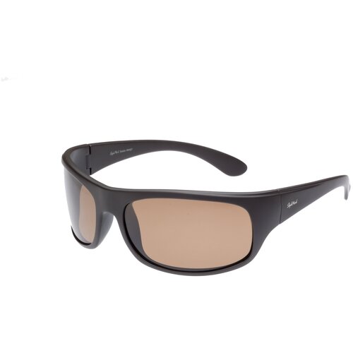 фото Очки stylemark l2538b