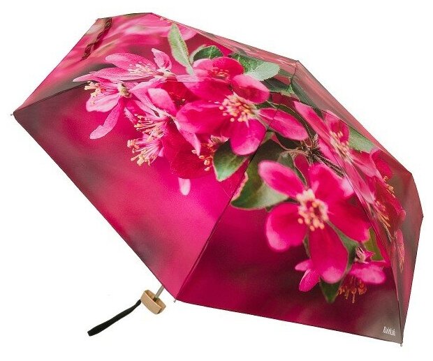 Мини-зонт RainLab