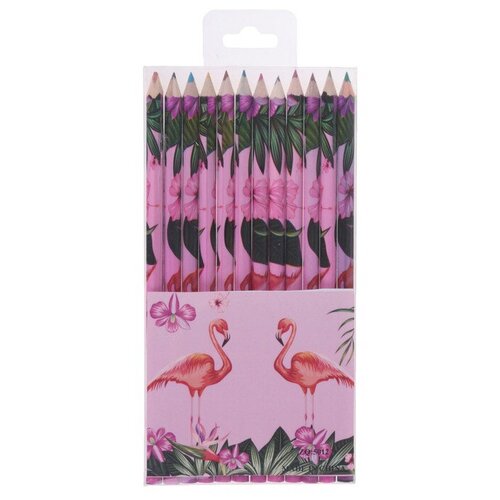 фото Calligrata набор цветных карандашей фламинго 12 цветов (4363591)
