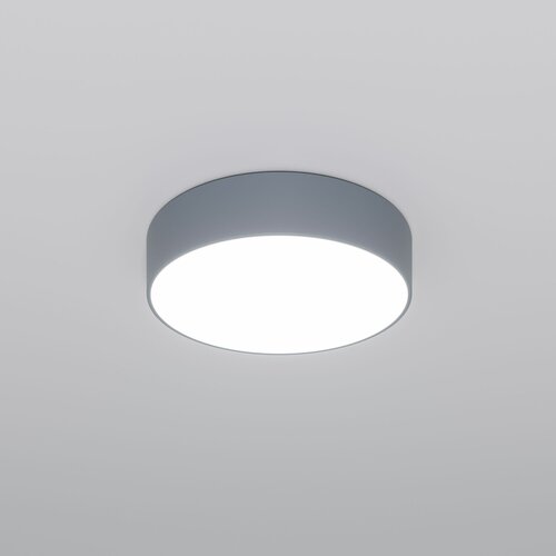 Люстра / Потолочный светодиодный светильник с пультом управления Eurosvet Entire 90318/1, 3300 / 4200 / 6500 К, цвет серый, IP20