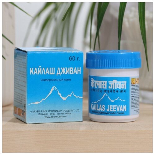 Крем Kailas Jeevan против ожогов, воспалений и порезов, 60 г