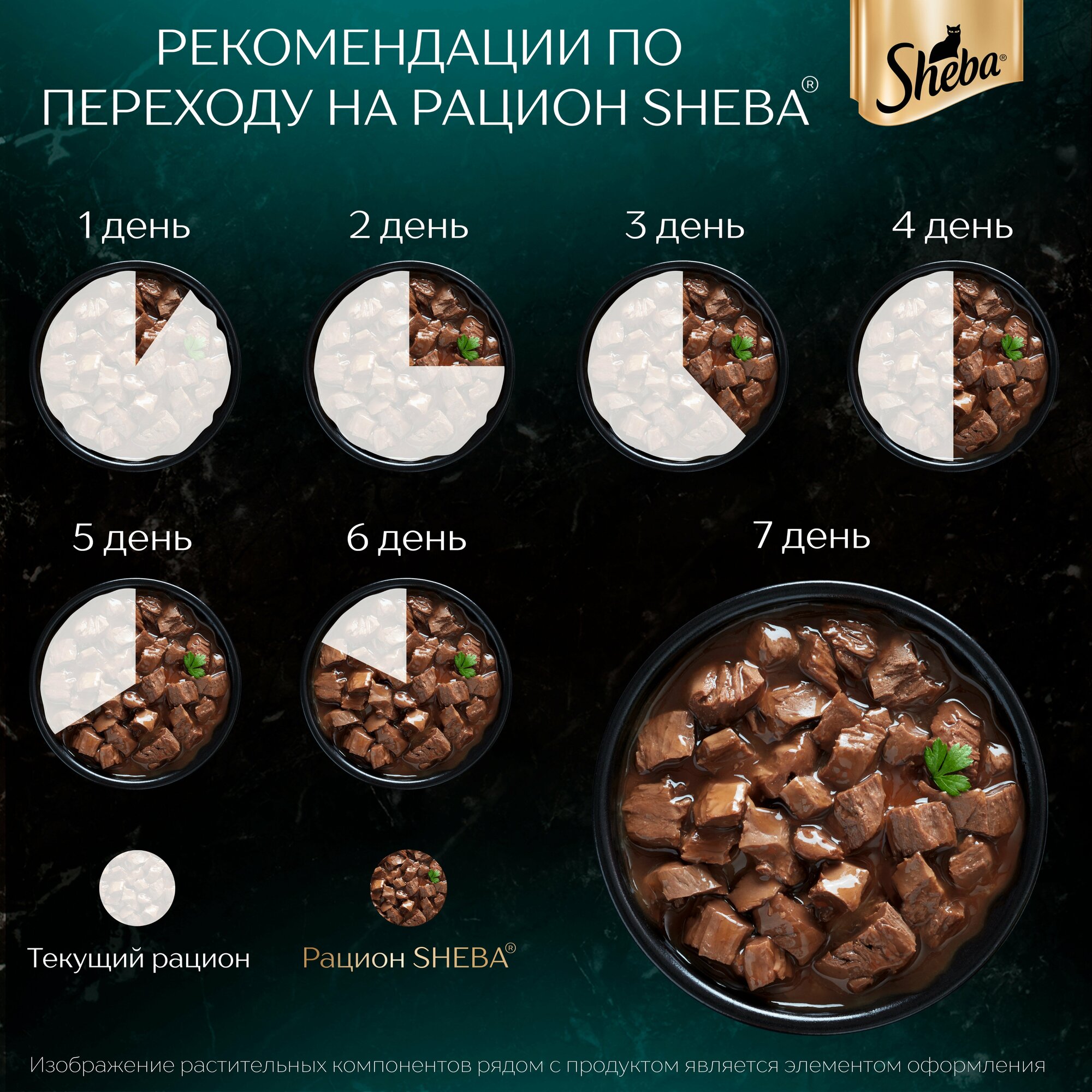 SHEBA CRAFT COLLECTION для взрослых кошек тонкие ломтики в соусе с говядиной (75 гр х 28 шт) - фотография № 6