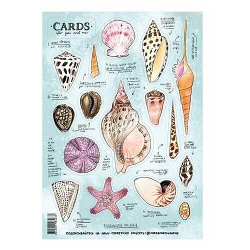 Стикерпак виниловые самоклеящиеся наклейки для детей и взрослых 