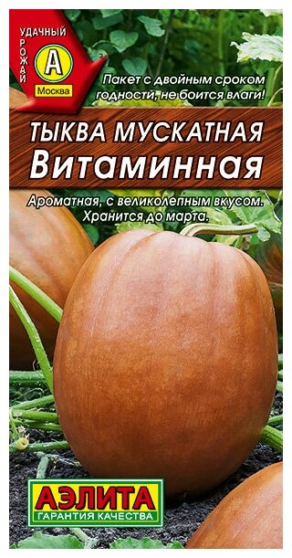 Тыква мускатная 