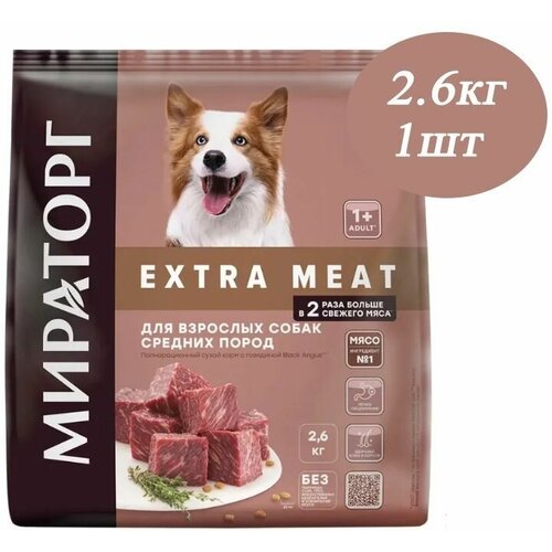 Мираторг Winner EXTRA MEAT с говядиной Black Angus, 2.6 кг, для взрослых собак средних пород, старше 1 года Полнорационный сухой корм