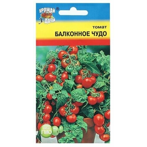 Семена Томат Балконное чудо, 0,1 г 12 упаковок семена томат балконное чудо балкони ело f1