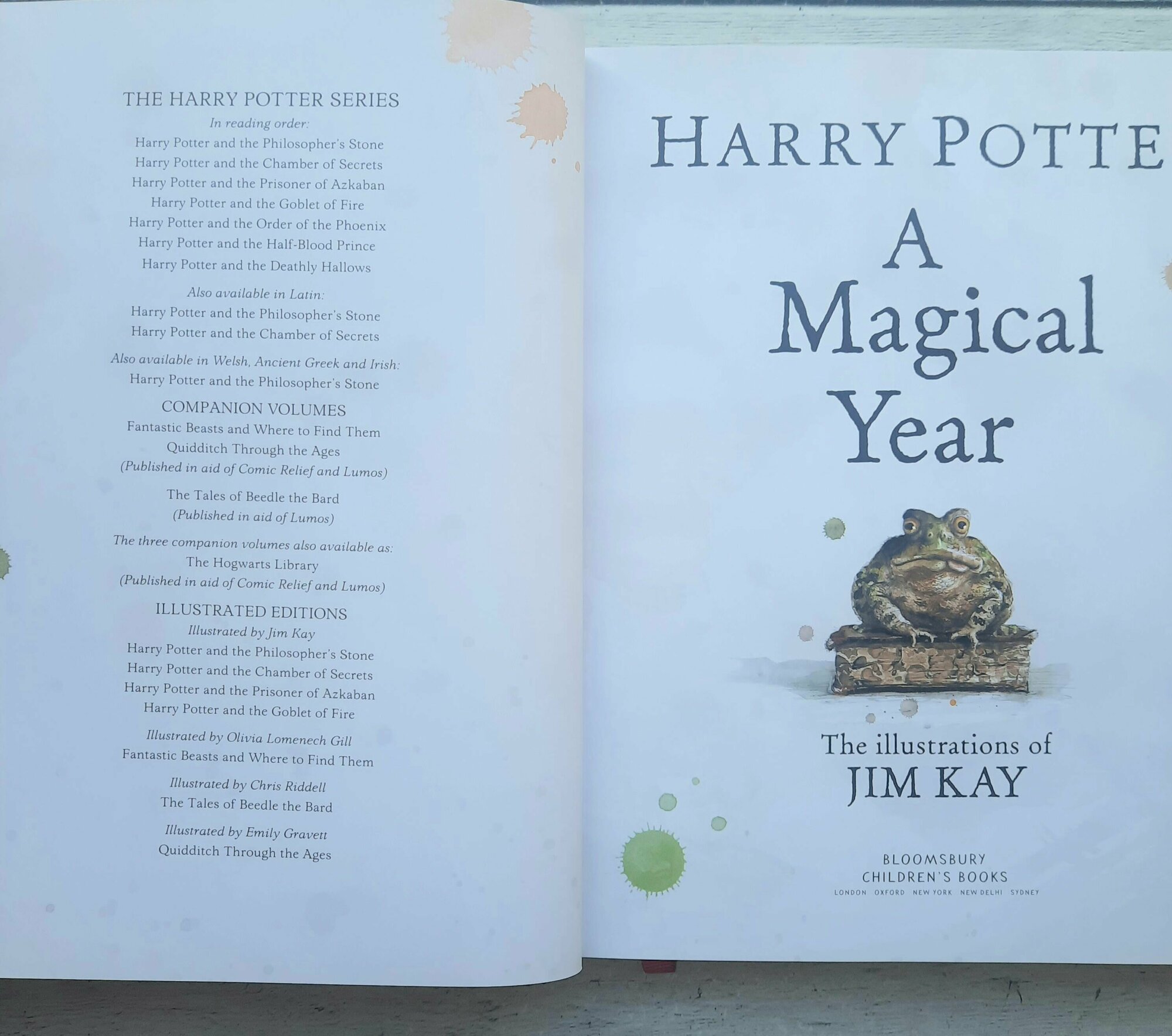Harry Potter – A Magical Year (Роулинг Джоан) - фото №11