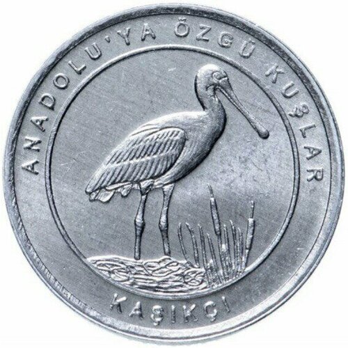 Монета 1 куруш Колпица. Анталийские птицы. Турция, 2020 г. в. Монета UNC