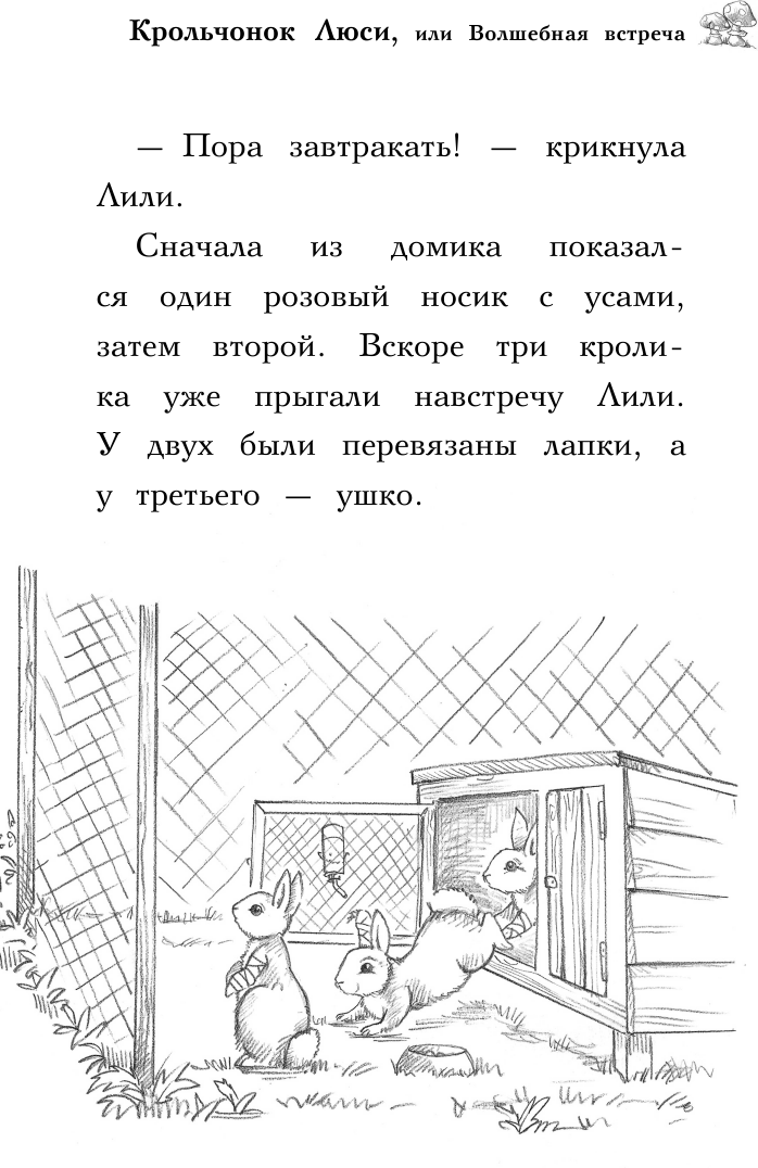 Крольчонок Люси, или Волшебная встреча - фото №16