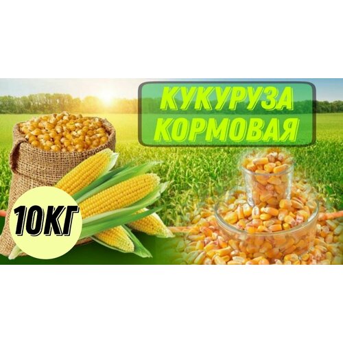 Кукуруза, семечко, жмых, зерносмесь