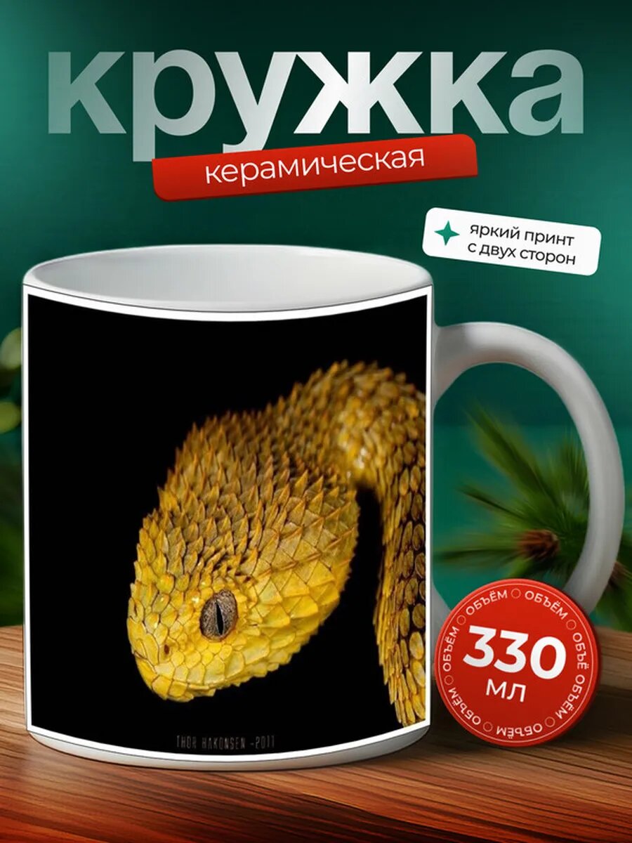 Кружка Гадюка рептилия 6,