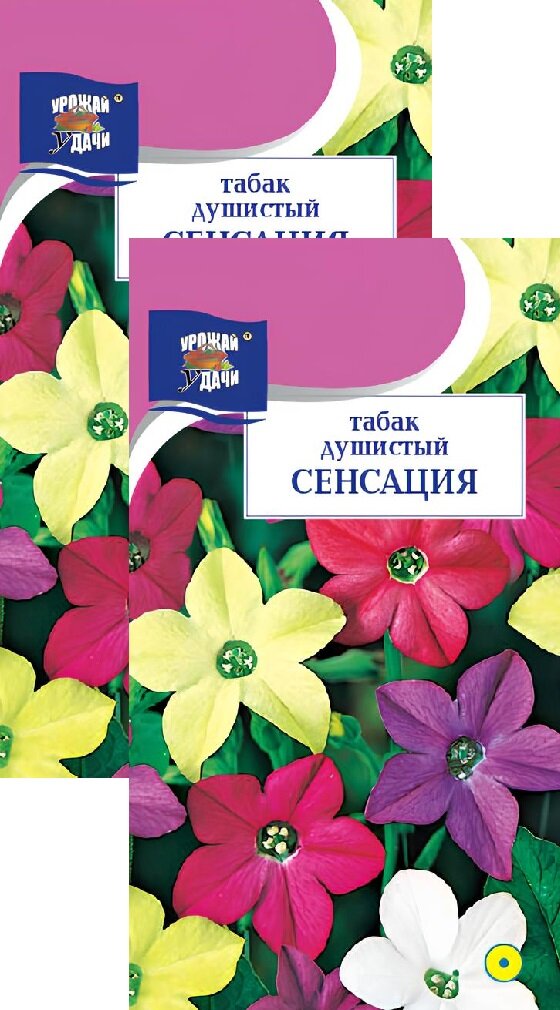 Семена Табак Душистый Сенсация (0,1 г), 2 пакета, Урожай Удачи