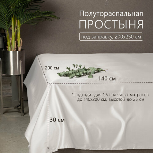 Простынь ELHOMME Gently White 15-спальный 9000₽