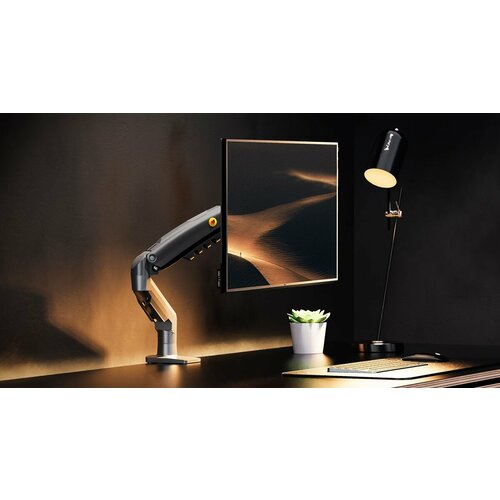 Кронштейн для монитора Nort Bayou F80 диагональ 17-30 наклонно-поворотный до 9 кг чёрный 2999₽