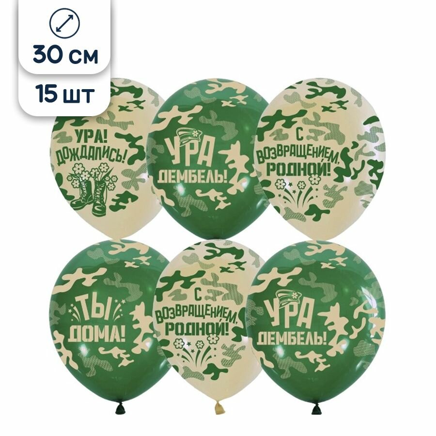 Воздушные шары на Дембель, 30 см, 15 шт.