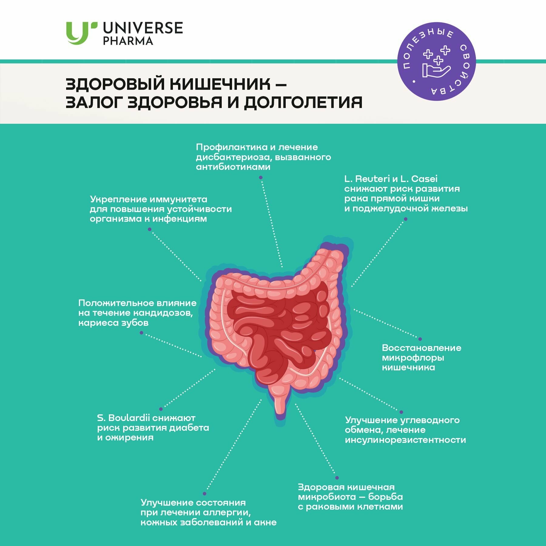 Изображение Мультибиотик (Multibiotic) уникальный комплекс для восстановления микрофлоры: пробиотики и пребиотики для жкт, 20 капсул