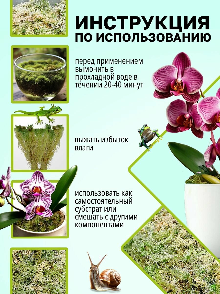 Мох сфагнум для орхидей и террариумов, 2 литра — фото 1