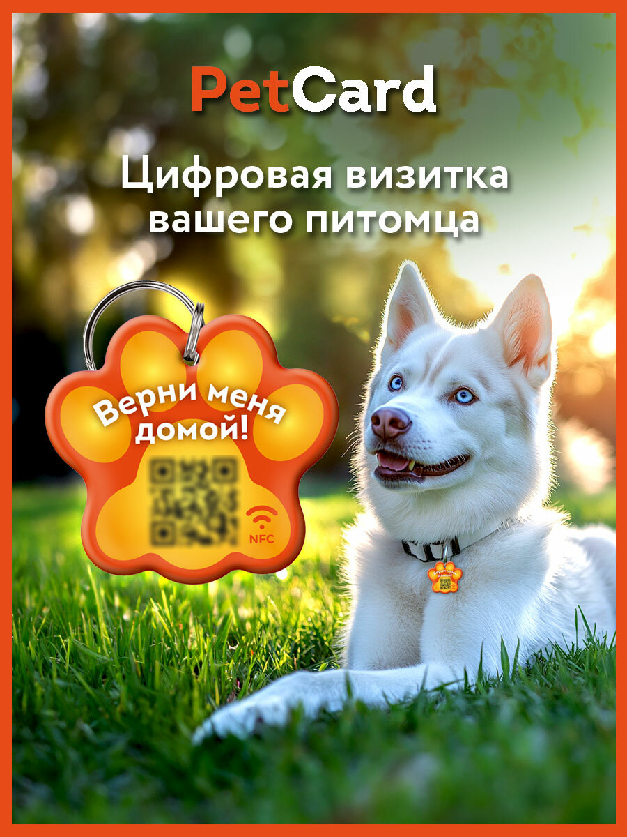 Адресник PetCard для собак и кошек с QR кодом и NFC оранжевый.