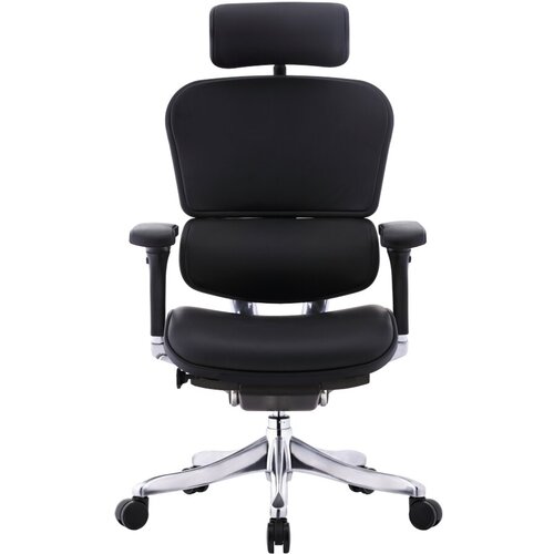 Компьютерное кресло Comfort Seating Ergohuman Plus Lux для руководителя, кожаное