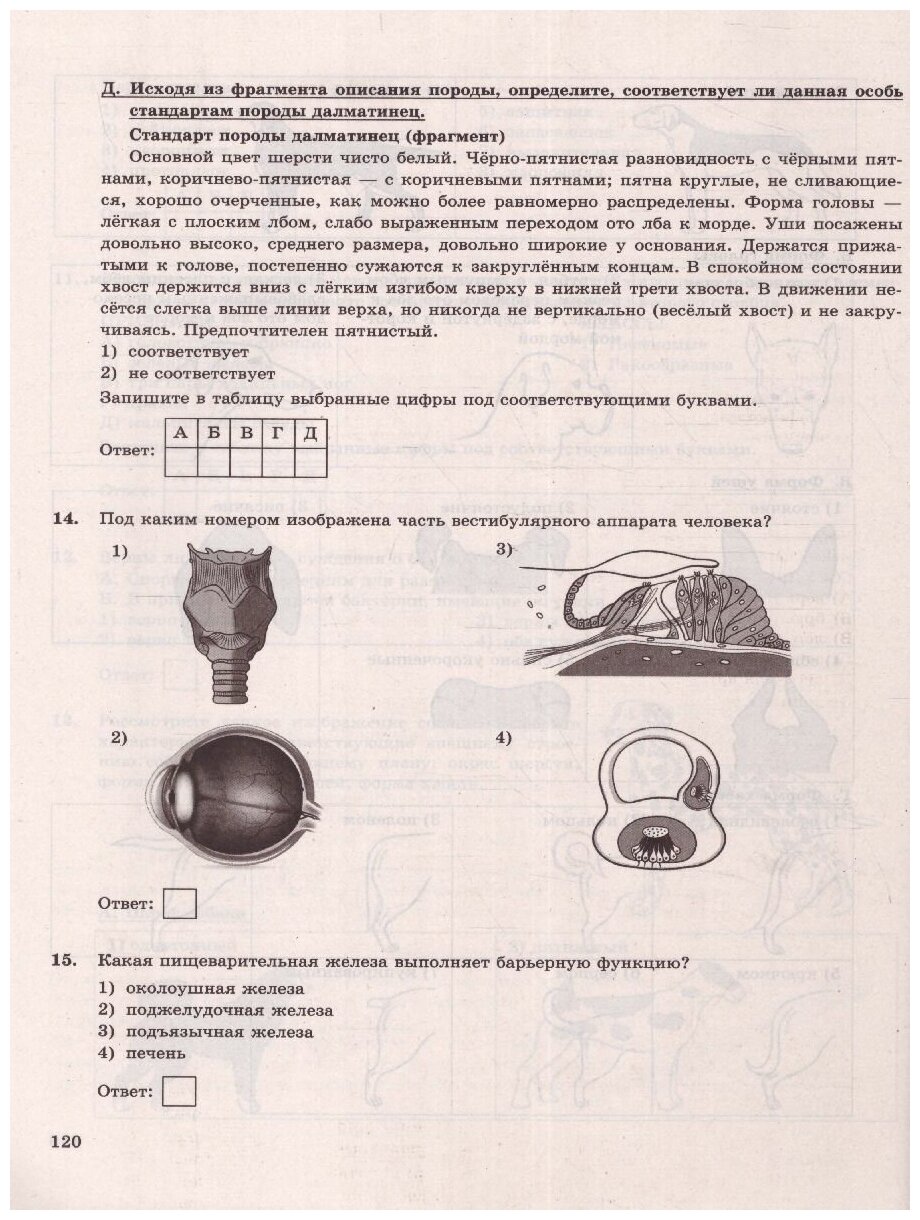 ОГЭ 2023 Биология 12 вариантов Типовые варианты экзаменационных заданий от разработчиков ОГЭ К новой официальной демонстрационной версии - фото №2